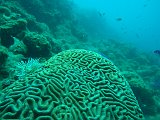 Curacao 04-12 095